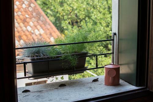 Apartamento Alloggio Borgo Angarano
