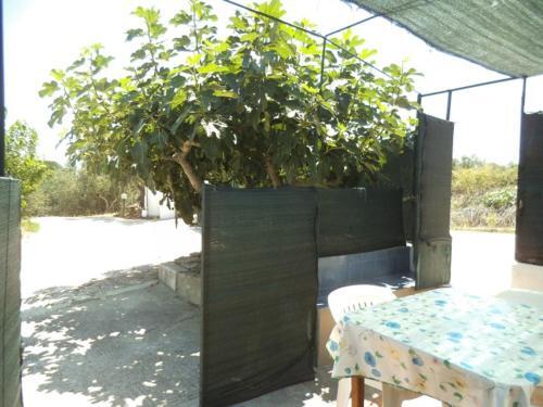 Apartamento Appartamento N 1