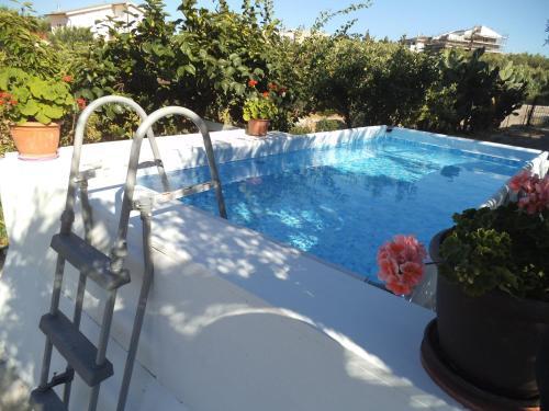 Apartamento Appartamento N 1