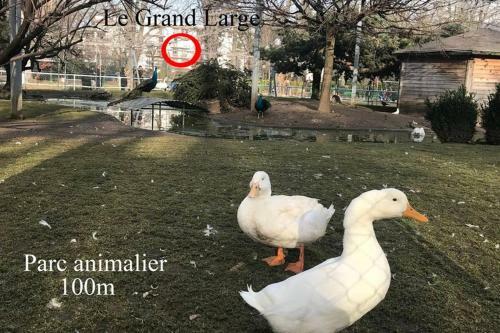 Apartamento 3* Balcon Vue Lac Commerces Et Plage � 100m