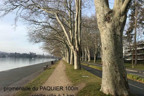 Apartamento 3* Balcon Vue Lac Commerces Et Plage � 100m