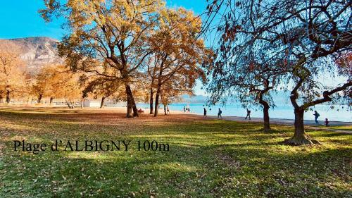 Apartamento 3* Balcon Vue Lac Commerces Et Plage � 100m