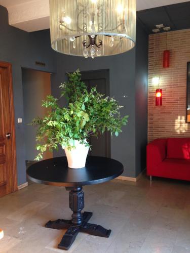 Hotel Patilla Ciudad De Requena