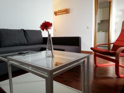 Apartamentos Surynieve Zona Alta