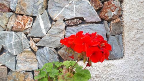 Apartamento Villa Fiori