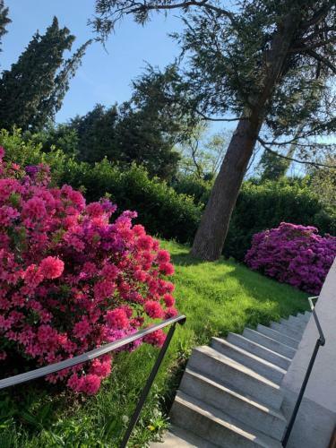 Apartamento Foresterie Magnolia