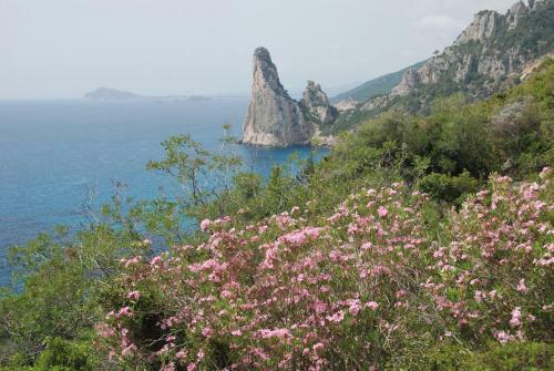 Apartamento Panoramic View