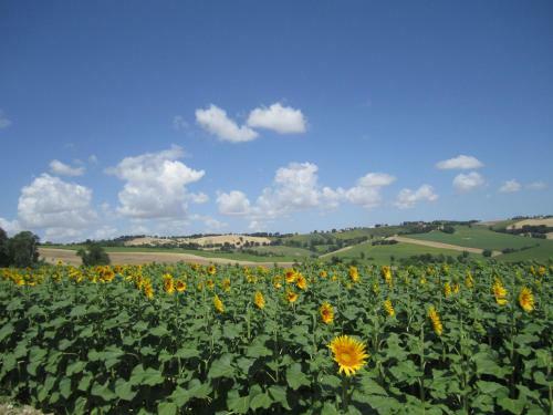 Apartamento Il Giardino Nella Valle