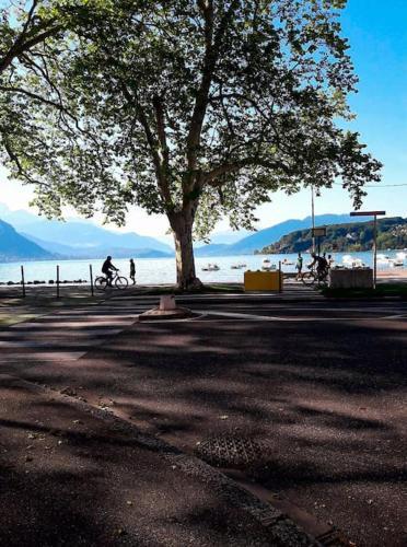 Apartamento 55 M�/ Chez L�rette/ 250m Lake/ Private Parking
