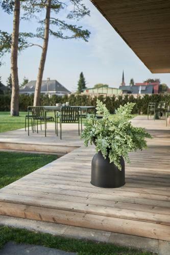 Apartamento Panoramahaus Usedom