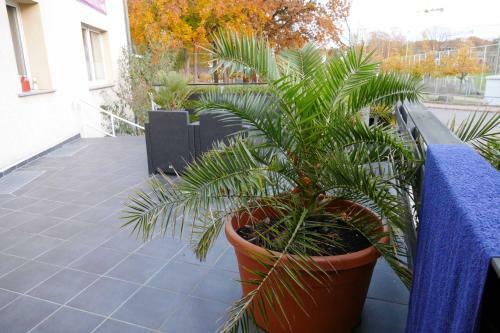 Apartamento Ferienwohnungen Zinnowitz