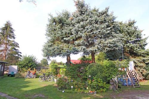 Ferienhaus Zinnowitz Use 3471