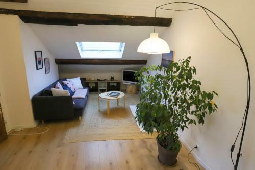 Apartamento Petit Coeur Charmant En Centre Ville