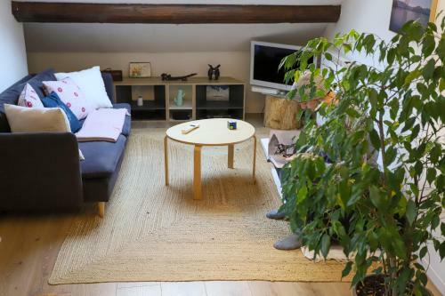 Apartamento Petit Coeur Charmant En Centre Ville