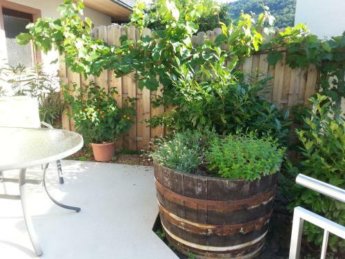 Apartamento Ferienwohnung Weingut Ackermann