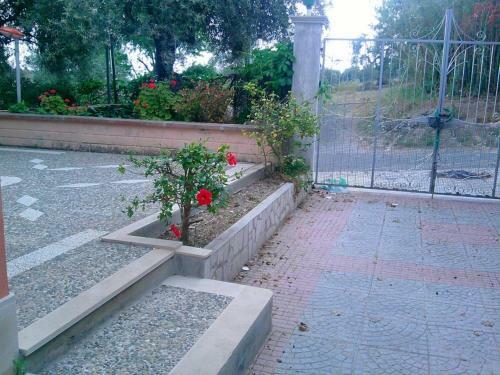 Villa Vincenzo