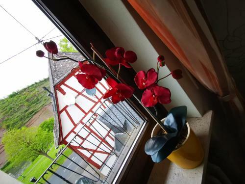 Hostal G�stehaus Andrea Blatt