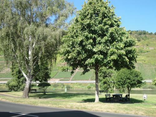 Hostal G�stehaus Andrea Blatt