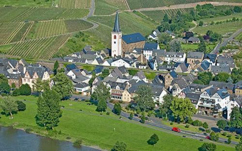 Hostal G�stehaus Andrea Blatt