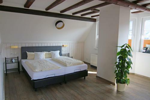 Hostal Ferienweingut Villa Hausmann