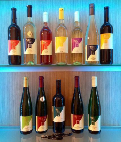 Hostal Ferienweingut Villa Hausmann
