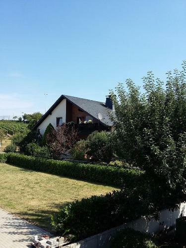 Hostal Ferienhaus "anne" Und Weingut Willi Fett