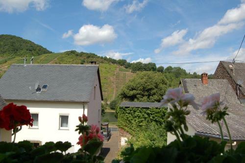 Apartamento Ferienhaus Mosel Bub