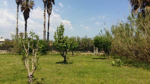 Villa Sole A 50 M Dalla Spiaggia