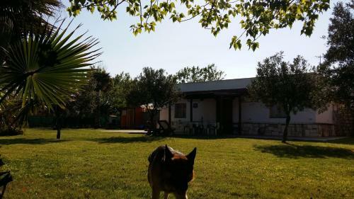 Villa Sole A 50 M Dalla Spiaggia