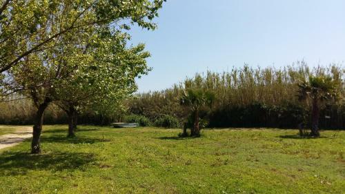Villa Sole A 50 M Dalla Spiaggia