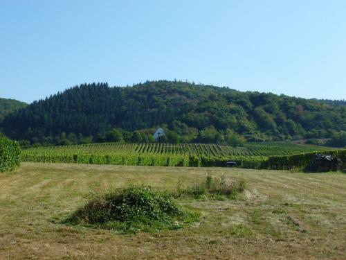Bed & Breakfast Pension Susanne
