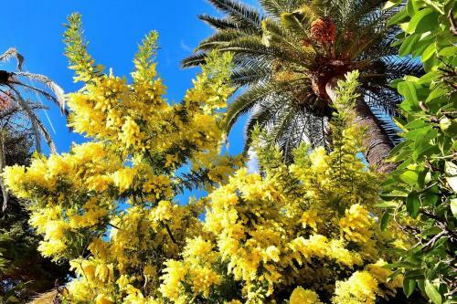 Apartamento Garden Cap D'antibes