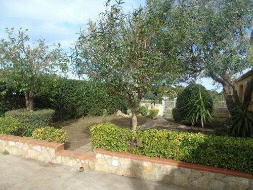 Hostal Garden Rooms Avola Antica