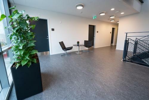 Albergue Icv Sleepwell
