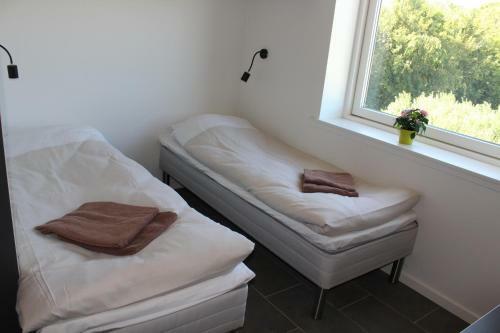 Albergue Icv Sleepwell