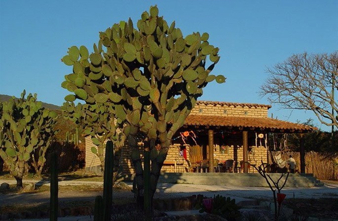 Lodge Rancho Pitaya B & B