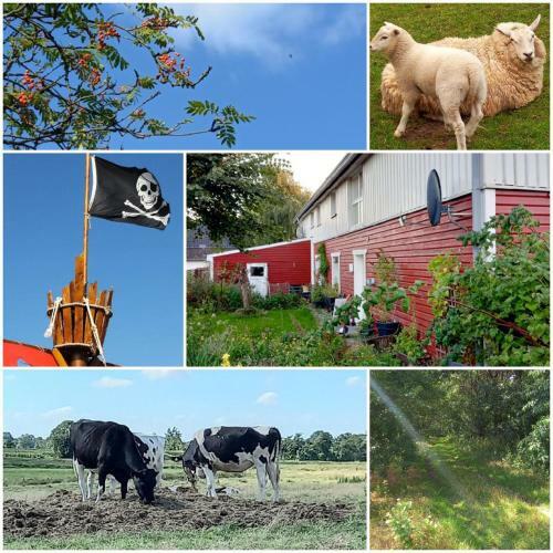 Apartamento Piratennest Nord