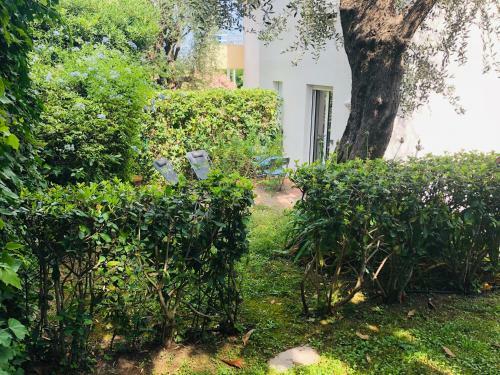 Apartamento L'orangerie Plage Du Ponteil, Quartier de L'ilette