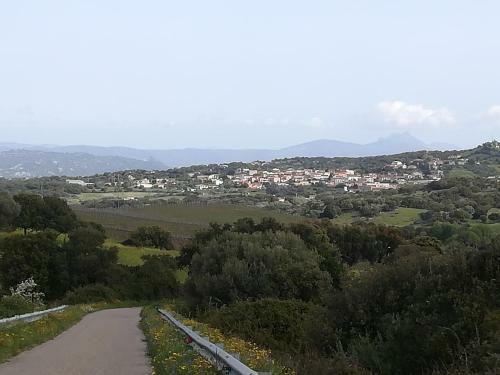 Lu Mandrioni