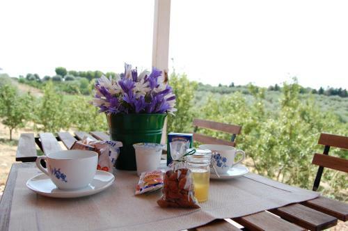 Bed & Breakfast Mandorleo