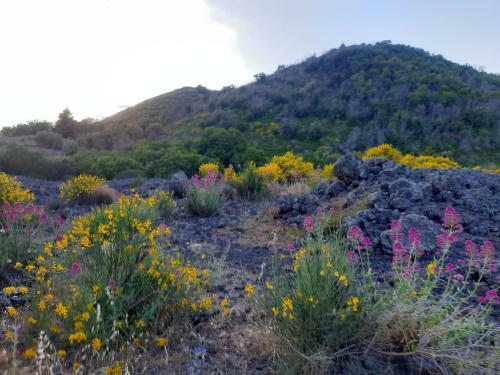 Piccola Dimora Dell'etna