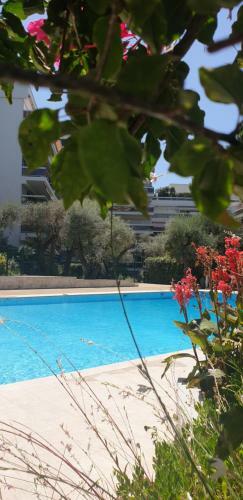 Apartamento Studio/quartier R�sidentiel/piscine/plages � 5min � Pied