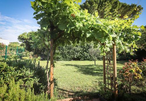 Apartamento Orangeraie Du Cap D'antibes