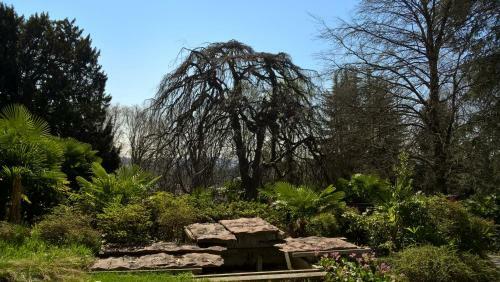 Bed & Breakfast Villa Magnolia Lago Maggiore
