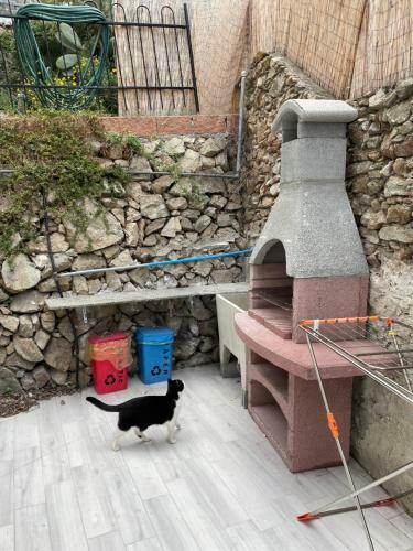 Apartamento Casa Del Sasso