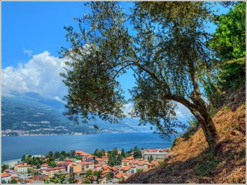 Apartamento Fantastica Casa Poppo