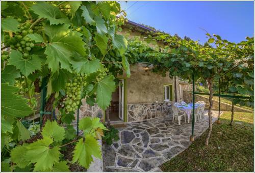 Apartamento Fantastica Casa Poppo