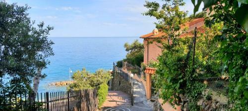 Apartamento Villa Mimosa #bluchalet