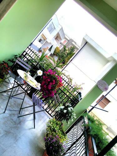 B&B L'angolo Fiorito