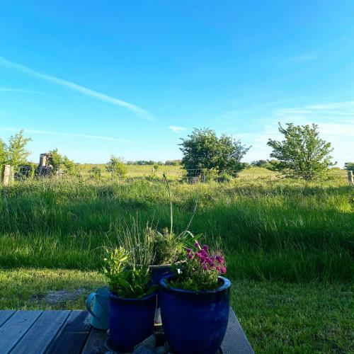 Apartamento Haus An Der Heide